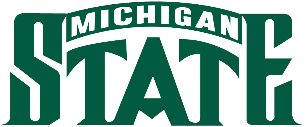 Michigan State Spartans 1987-Pres Wordmark Logo diy iron on heat transfer